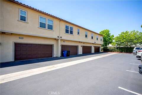 Camellia, SANTA FE SPRINGS, CA 90670