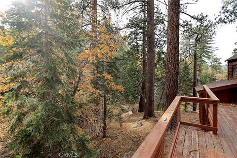 Metcalf Creek Trail, Big Bear Lake, CA 92315