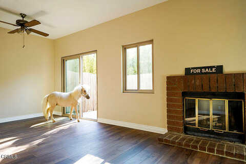 Pima, VENTURA, CA 93001