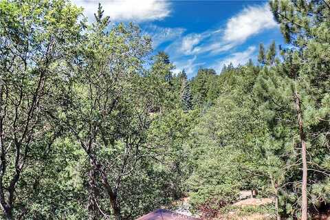 Craghill, CEDAR GLEN, CA 92321