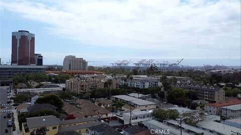 Daisy, LONG BEACH, CA 90802