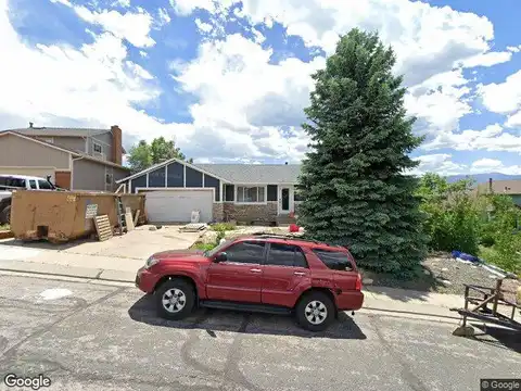 Coneflower, COLORADO SPRINGS, CO 80917