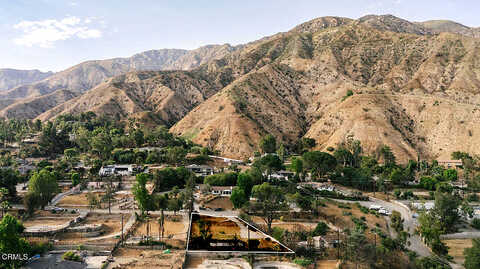 Alta Wood, ALTADENA, CA 91001