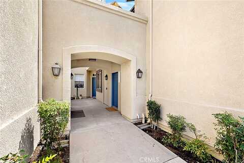 Mesquite, TRABUCO CANYON, CA 92679