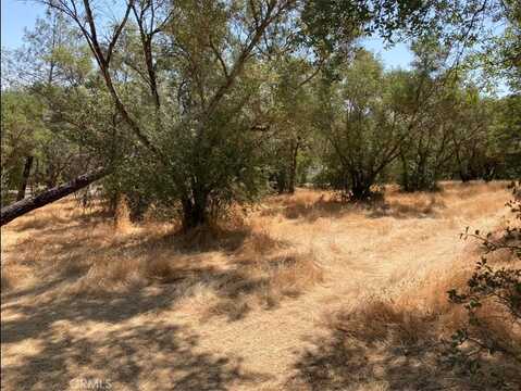 Oro Garden Ranch, OROVILLE, CA 95966