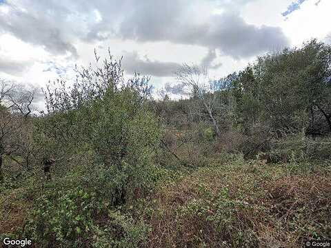 Wolf, GRASS VALLEY, CA 95949
