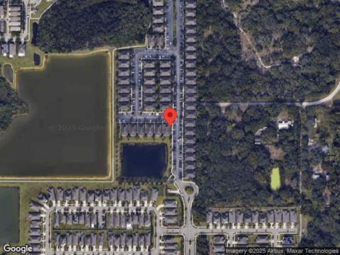 American Hickory, RIVERVIEW, FL 33578