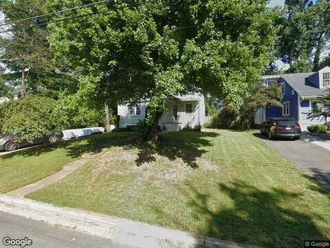 Moly, FALLS CHURCH, VA 22046