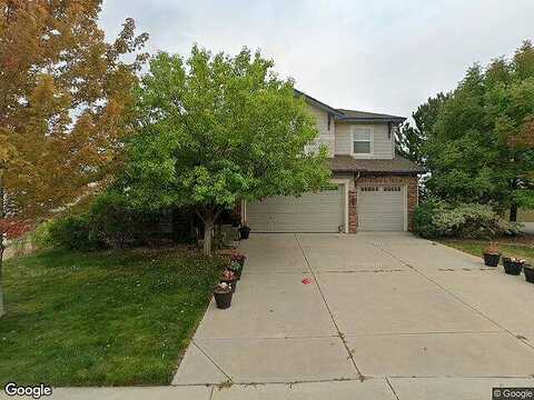 Dexter, THORNTON, CO 80602