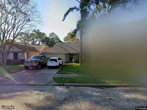 Palm Shores, SPRING, TX 77379