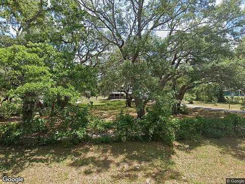 Black Walnut, HUDSON, FL 34669