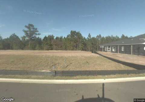 Chestnut Ridge, ORANGE PARK, FL 32065