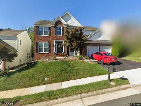 Douglas Fir, LORTON, VA 22079