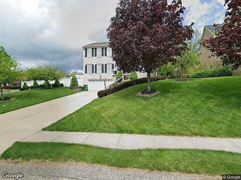 Meadow, MC KEES ROCKS, PA 15136