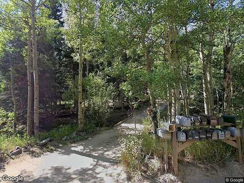 Caribou, NEDERLAND, CO 80466