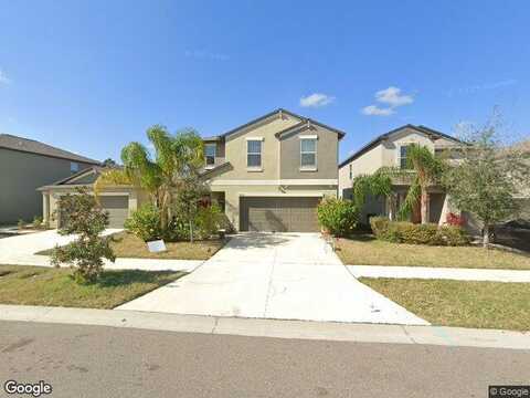 English Lavender, WIMAUMA, FL 33598