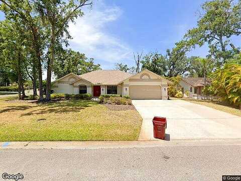 Hammock, PLANT CITY, FL 33566