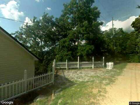 Bachelors Button, CLAYTON, GA 30525
