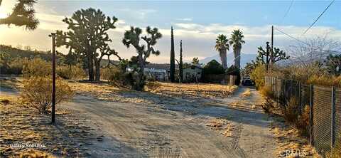 Victor, Yucca Valley, CA 92284