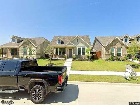 Honey Daisy, CRANDALL, TX 75114