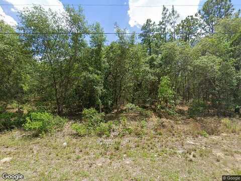 W Lappula Lane, Citrus Springs, FL 34433