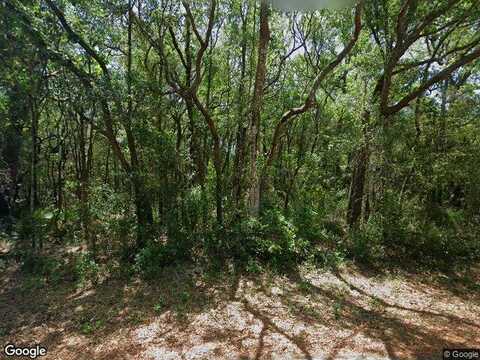 W Beaumont Ln, HOMOSASSA, FL 34448