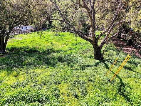 Modjeska, MODJESKA, CA 92676
