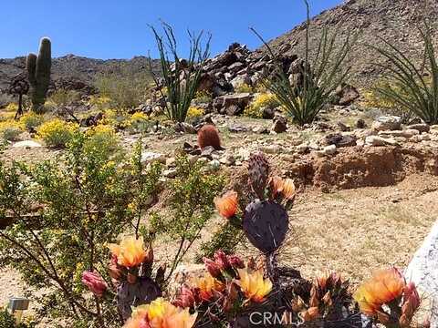 Eagle, TWENTYNINE PALMS, CA 92277