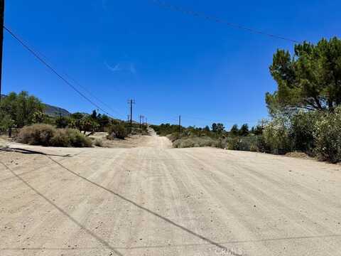 Tamarack, PINON HILLS, CA 92372