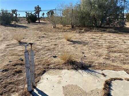 Buena Vista, YUCCA VALLEY, CA 92284