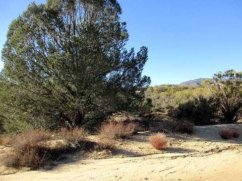 Knollwood, ANZA, CA 92539