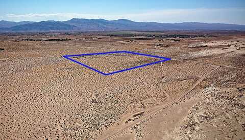 Harvard, NEWBERRY SPRINGS, CA 92365