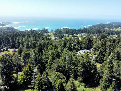 Raven, MENDOCINO, CA 95460