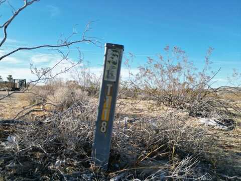 Karol, LANDERS, CA 92285