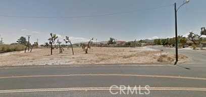Joshua, YUCCA VALLEY, CA 92284