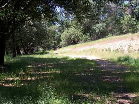 Rusty Ln, Oakhurst, CA 93644