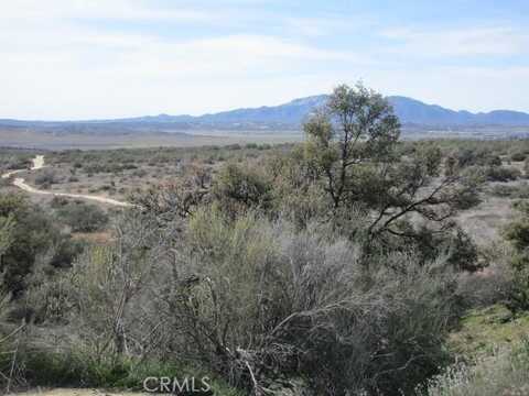 Fletcher, Anza, CA 92539
