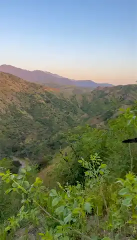 Irvine Mesa Rd, Silverado, CA 92676