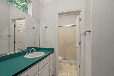 Torey Pine, MAGALIA, CA 95954