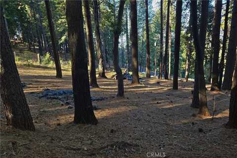 Weiss Hill, OROVILLE, CA 95966