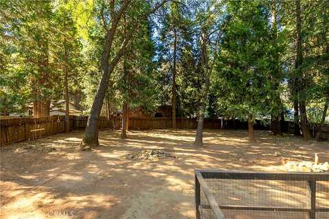 Dana, MAGALIA, CA 95954