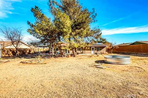 Camarilla, YUCCA VALLEY, CA 92284