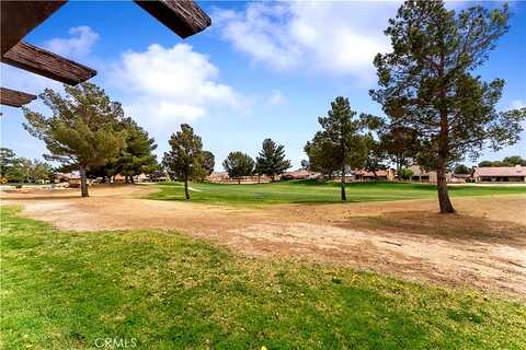 Blue Grass, HELENDALE, CA 92342