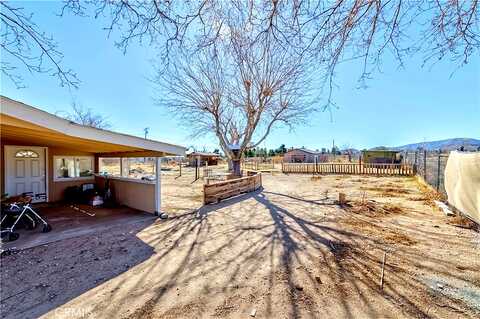 Smoke Tree, PHELAN, CA 92371