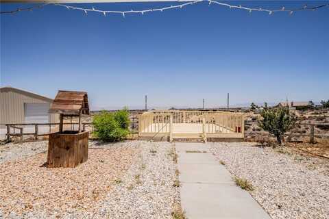 Ailanthus, PHELAN, CA 92371