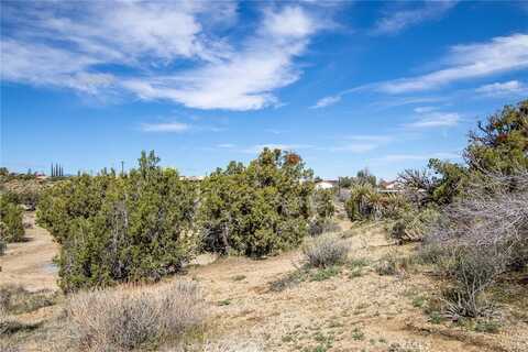 Carmelita, YUCCA VALLEY, CA 92284