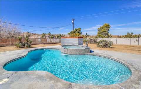 Desert Gold, YUCCA VALLEY, CA 92284