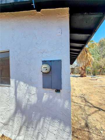 Abronia, TWENTYNINE PALMS, CA 92277