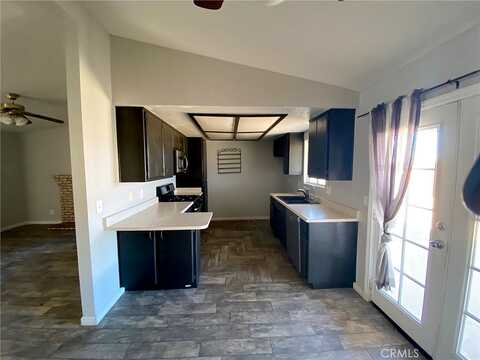 Encelia, TWENTYNINE PALMS, CA 92277