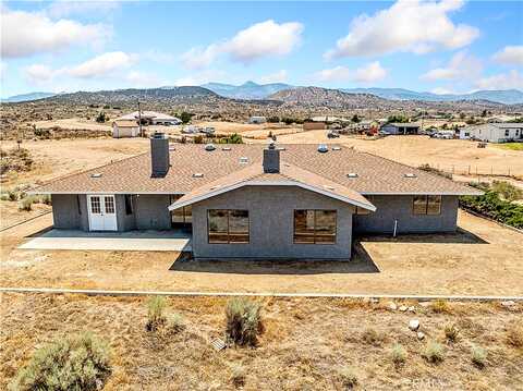 Ailanthus, PHELAN, CA 92371